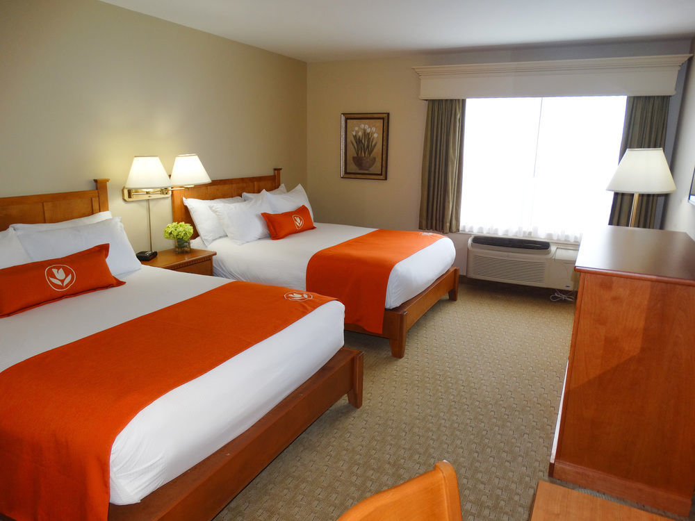 Quality Inn & Suites Amsterdam Fredericton Exterior photo